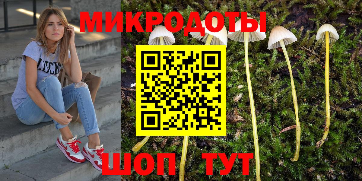где найти наркотики  Вход с VPN  Борзя  Псилоцибиновые грибы мицелий 
