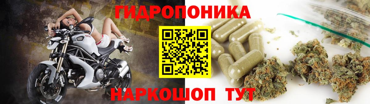 Конопля ГИДРОПОН Борзя